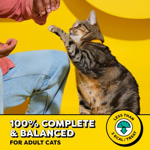 Temptations Classic Crunchy and Soft Cat Treats, Seafood Medley, 30 oz | Under 2 calories per treat, 100% complete & balanced adult cat nutrition, resealable tub, use as snack, meal, or food topper