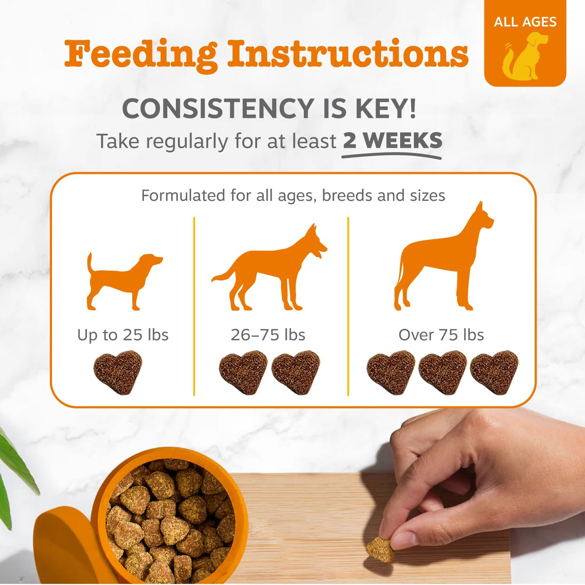 Zesty Paws Probiotics for Dogs - Gut Health Soft Chews, Pumpkin, 90 Ct | Probiotics for Dogs Soft Chews for Gut Health & Digestive Support