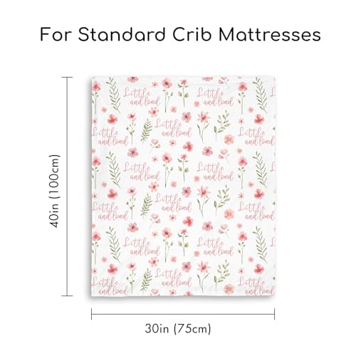 CIVARUA KIDS Fleece Baby Blankets for Girls & Boys, Infant Toddler Blanket | Soft Newborn Baby Minky Receiving Blanket, Dotted Backing for Nursery Crib Stroller, Double Layer, 30''x40'', Pink Floral