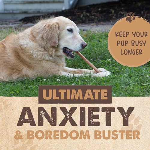 Mighty Paw 12" Bully Sticks for Dogs - Large, Medium and Small Dog Chew | Single Ingredient, Grass-Fed, Low Odor, 5 pk, High Protein, Boredom Buster