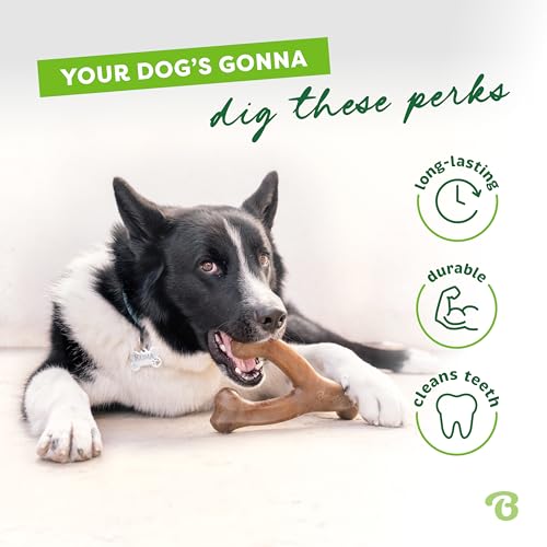 Benebone Wishbone Dog Chew Toy for Aggressive Chewers, Real Bacon, Medium | Durable, Super Chewer, Made in USA, Dog Bones, Long-Lasting, A Size for Every Dog, Keeps Them Busy