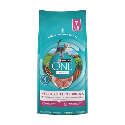 Purina ONE High Protein Natural Kitten Dry Cat Food, 7 lb Bag | Made with real chicken to support growing muscles, DHA for kitten brain development and antioxidants for immunity