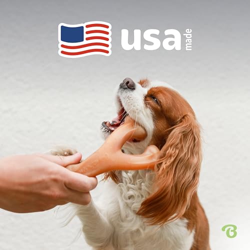 Benebone Wishbone Dog Chew Toy for Aggressive Chewers, Real Bacon, Medium | Durable, Super Chewer, Made in USA, Dog Bones, Long-Lasting, A Size for Every Dog, Keeps Them Busy