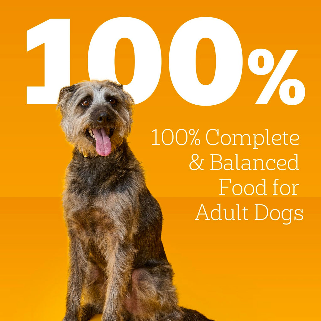 Pedigree Choice Cuts Wet Dog Food, Beef & Country Stew, 13.2 oz, 12 Count | Beef & Country Stew flavors, 100% complete & balanced, 50%+ water for hydration, made with real beef, choice cuts in gravy