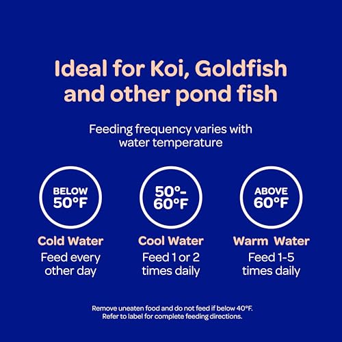 Kaytee Koi's Choice Floating Fish Food for Koi, Goldfish & Pond Fish | Supports growth. Fish food pellets for all seasons. 35% protein, fish meal first, highly digestible koi food