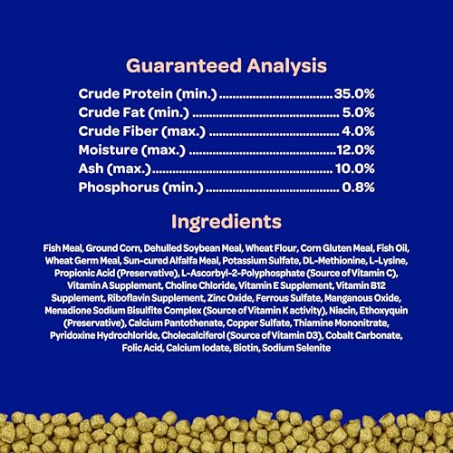 Kaytee Koi's Choice Floating Fish Food for Koi, Goldfish & Pond Fish | Supports growth. Fish food pellets for all seasons. 35% protein, fish meal first, highly digestible koi food
