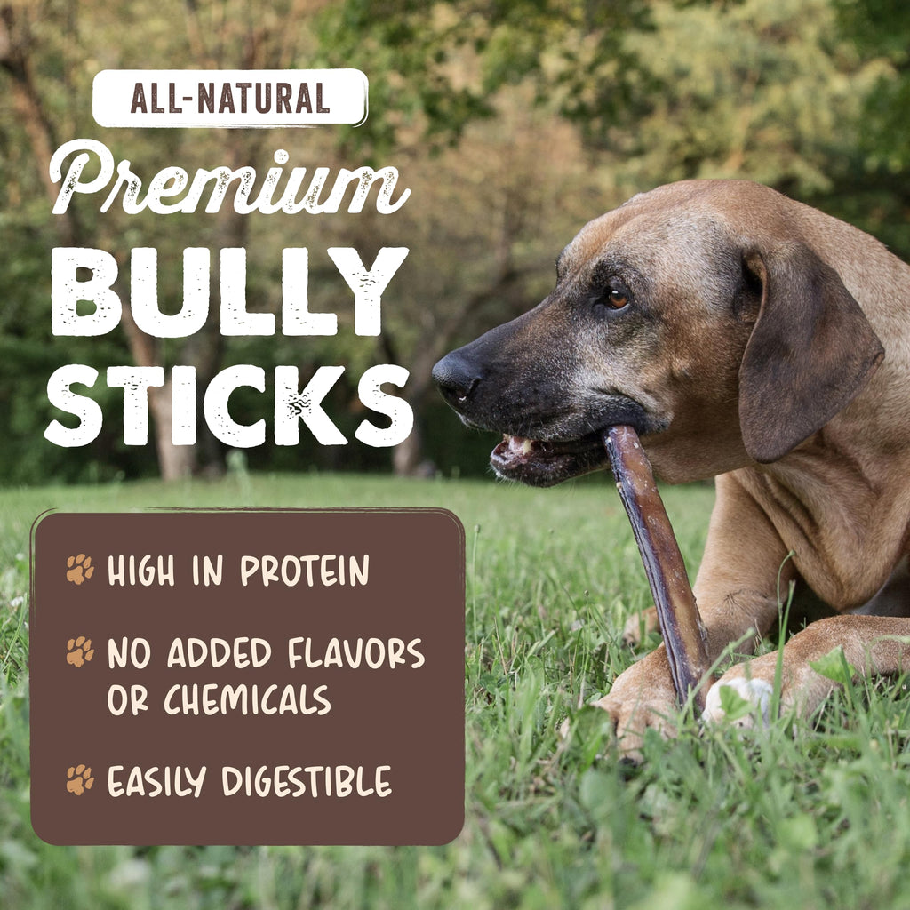 Mighty Paw 12" Bully Sticks for Dogs - Large, Medium and Small Dog Chew | Single Ingredient, Grass-Fed, Low Odor, 5 pk, High Protein, Boredom Buster