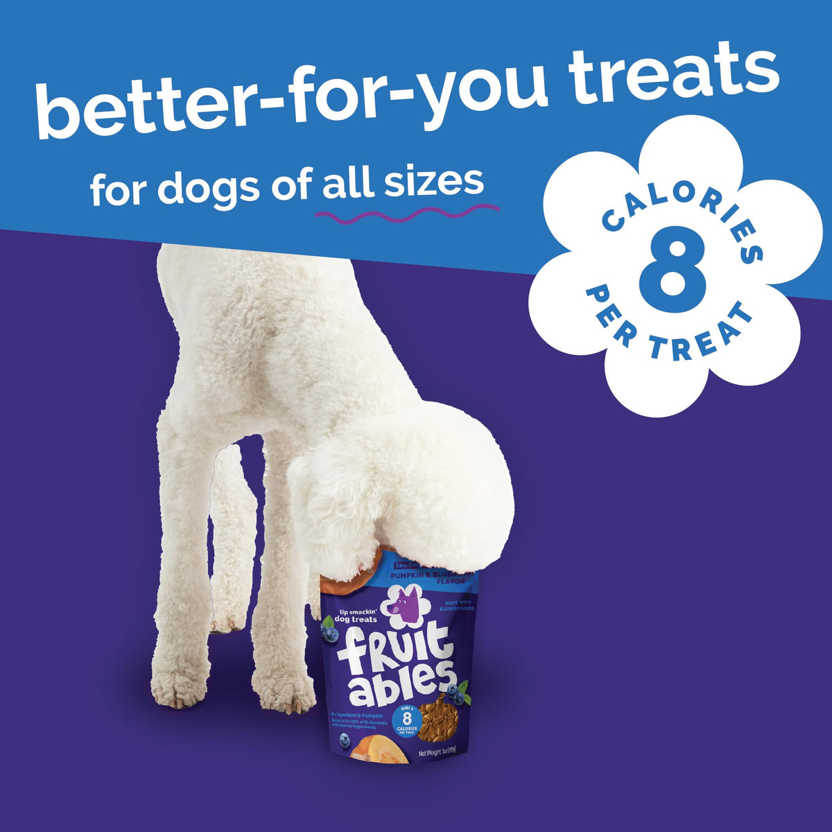 Fruitables Baked Dog Treats, Low Calorie Treats, Pumpkin & Blueberry, 12oz