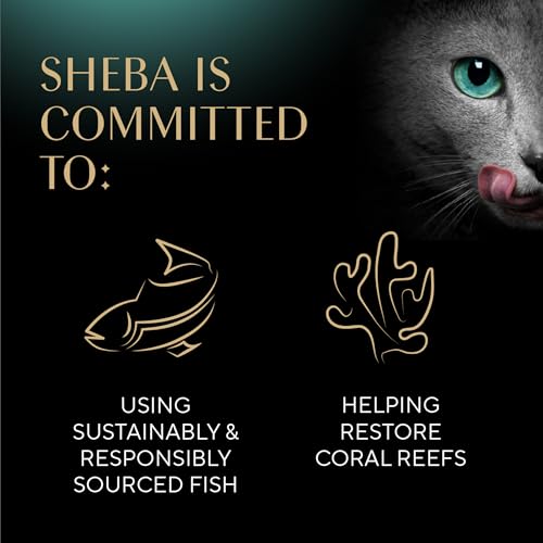 Sheba Perfect Portions Kitten Pate Wet Cat Food, Multipack, 2.6 oz, 24 ct | Chicken, Turkey, & Salmon, DHA for brain development, Vitamin E for immunity, real meat, essential amino acids, 48 servings