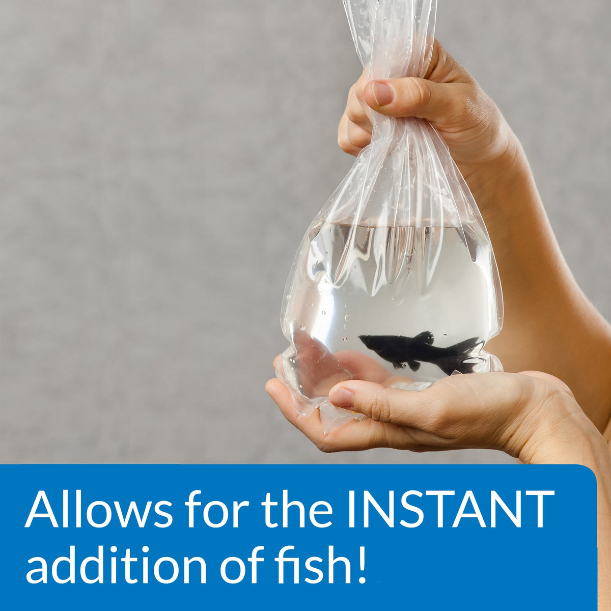 API Quick Start Freshwater & Saltwater Aquarium Nitrifying Bacteria (4 oz) | Allows You to Add Fish Faster - Reduces Harmful Compounds - Treats Up to 120 Gallons - New Aquarium Setup or Water Change