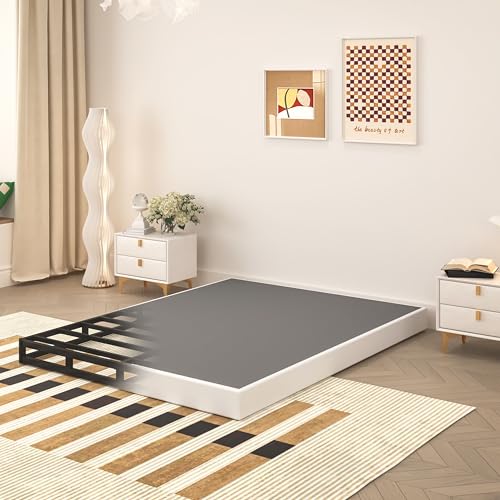 TROZULER 5 Inch Box Spring for Queen Bed, Heavy Duty Metal Mattress Foundation, 3000 lbs Capacity, Low Profile, Noise-Free, Easy Assembly with Fabric Cover