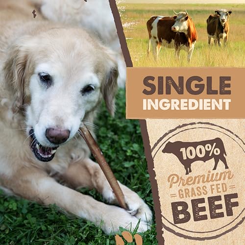 Mighty Paw 12" Bully Sticks for Dogs - Large, Medium and Small Dog Chew | Single Ingredient, Grass-Fed, Low Odor, 5 pk, High Protein, Boredom Buster