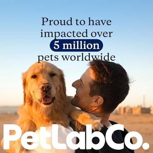 PetLab Co. Probiotic Chews for Dogs, 30 Soft Chews, Salmon | 8-strain probiotic blend with prebiotics to support digestive health, skin and seasonal allergy support