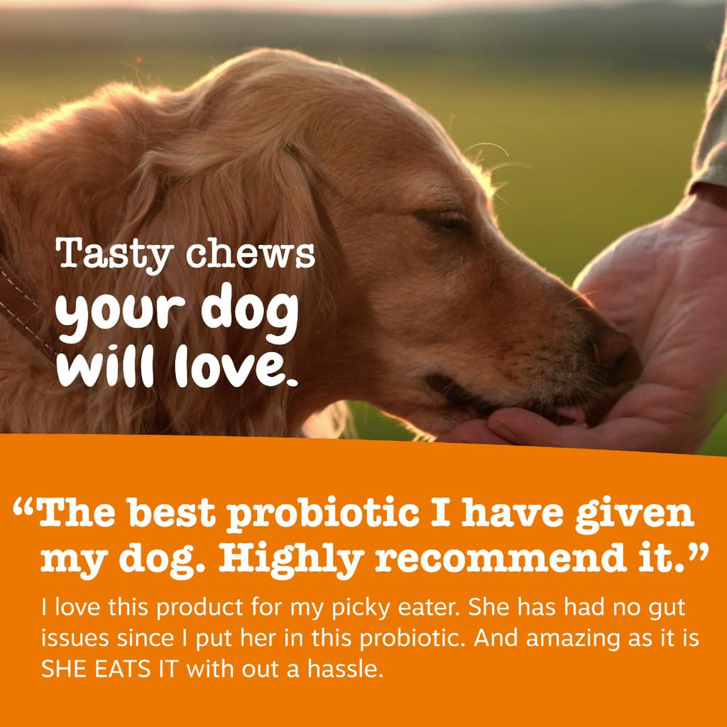 Zesty Paws Probiotics for Dogs - Gut Health Soft Chews, Pumpkin, 90 Ct | Probiotics for Dogs Soft Chews for Gut Health & Digestive Support