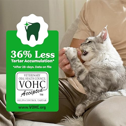 Greenies Feline Natural Dental Cat Treats, Catnip Flavor, 9.75 oz