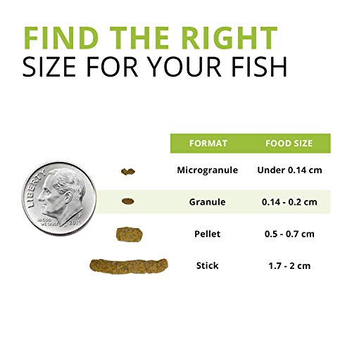Fluval Bug Bites Bottom Feeder Fish Food, 1.60 Oz. | Granules for Small to Medium Sized Fish, A6586