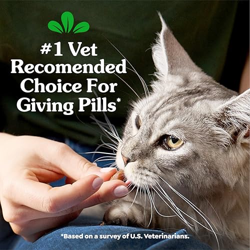 Greenies Feline Pill Pockets Soft Cat Treats, Chicken Flavor, 45 Count | #1 vet-recommended, moldable pocket hides pills, no artificial flavors or preservatives, real ingredients