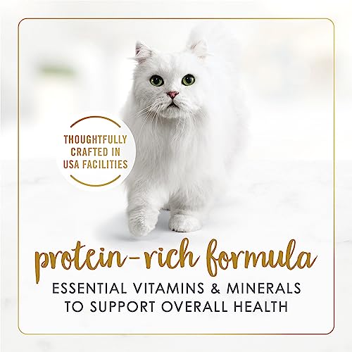 Purina Fancy Feast Gravy Lovers, Poultry & Beef Wet Cat Food, 3oz, 24-Pack | Variety Pack, grilled gourmet texture made with no artificial colors or preservatives, 100 percent complete and balanced