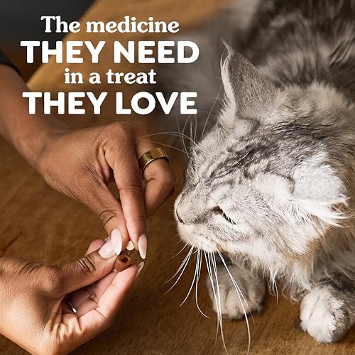 Greenies Feline Pill Pockets Soft Cat Treats, Chicken Flavor, 45 Count | #1 vet-recommended, moldable pocket hides pills, no artificial flavors or preservatives, real ingredients