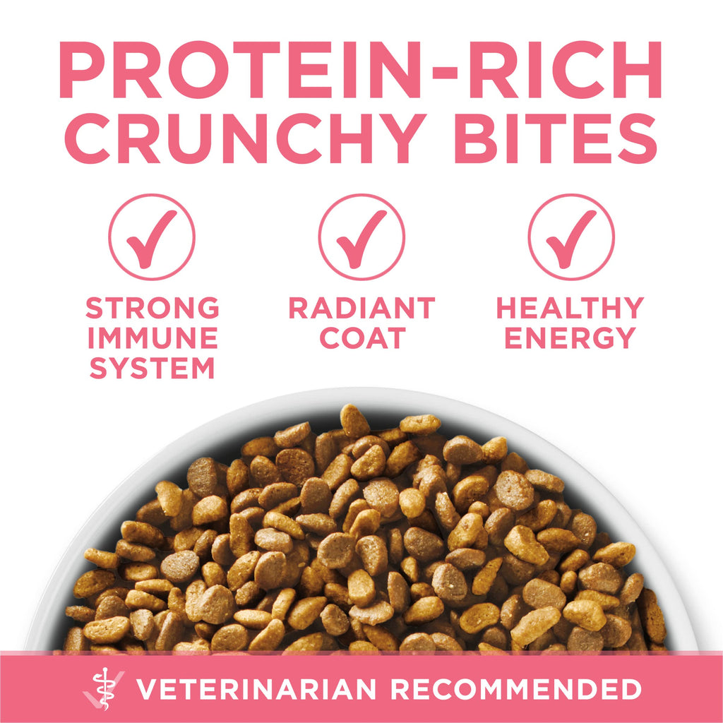Purina ONE High Protein Natural Kitten Dry Cat Food, 7 lb Bag | Made with real chicken to support growing muscles, DHA for kitten brain development and antioxidants for immunity