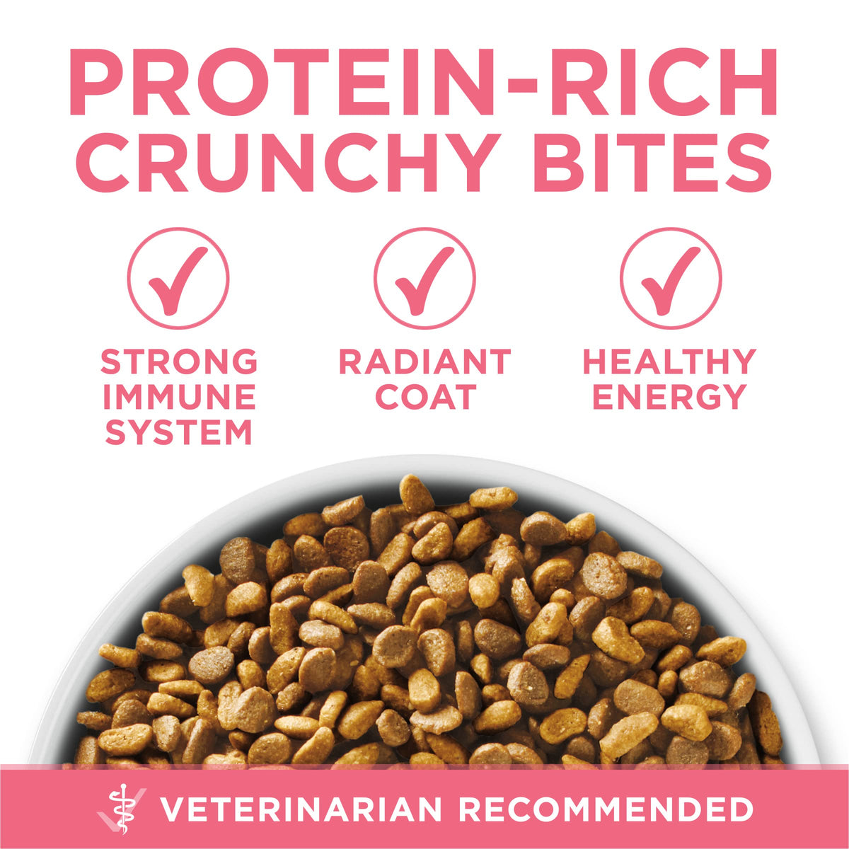 Purina ONE High Protein Natural Kitten Dry Cat Food, 7 lb Bag | Made with real chicken to support growing muscles, DHA for kitten brain development and antioxidants for immunity