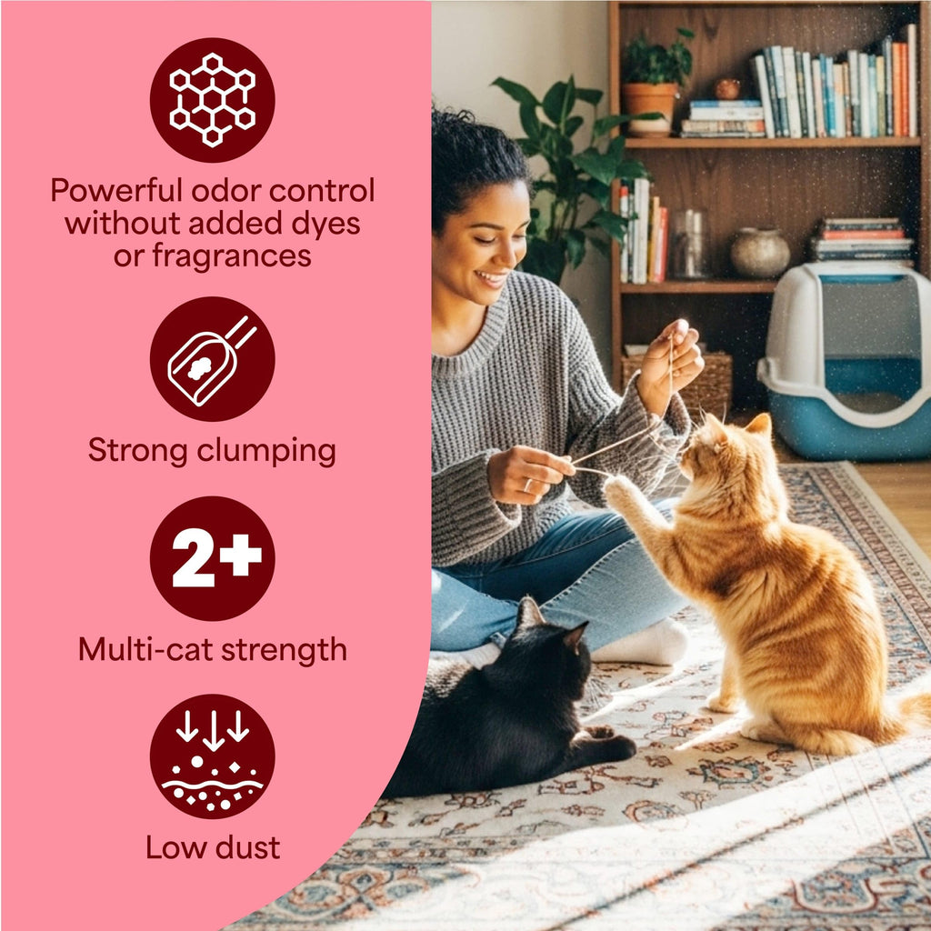 Fresh Step Advanced Simply Unscented Multi Cat Clumping Cat Litter, 18.5 lb | Formulated with No Added Dyes or Fragrances, Ammonia Block Technology, Low Dust, Compatible with Most Automatic Litter Boxes