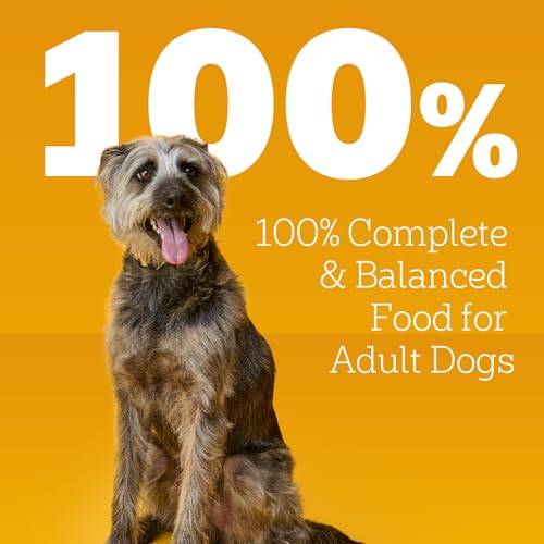 Pedigree Choice Cuts Wet Dog Food, Beef & Country Stew, 13.2 oz, 12 Count | Beef & Country Stew flavors, 100% complete & balanced, 50%+ water for hydration, made with real beef, choice cuts in gravy