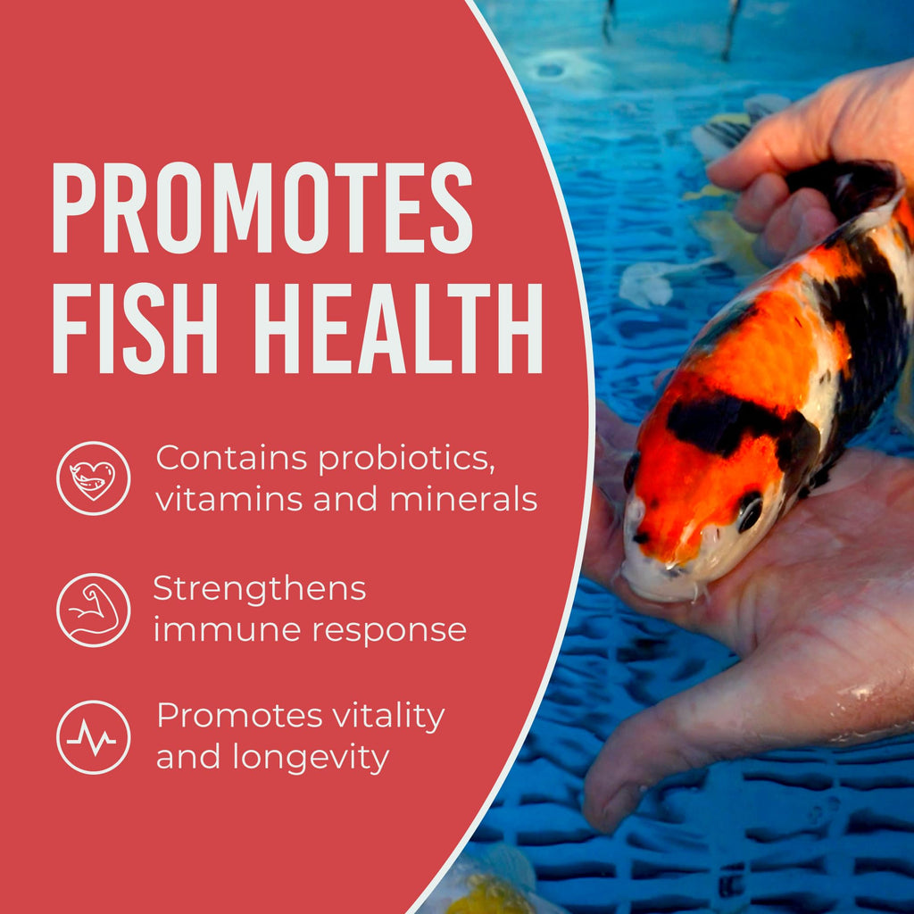 Blue Ridge Cool Water Wheat Koi Fish Food, 3/16" Pellets, 5 lb | Wheat-germ formula, easy cool-water digestion; floats & softens fast; works in auto feeders; vitamins & minerals added