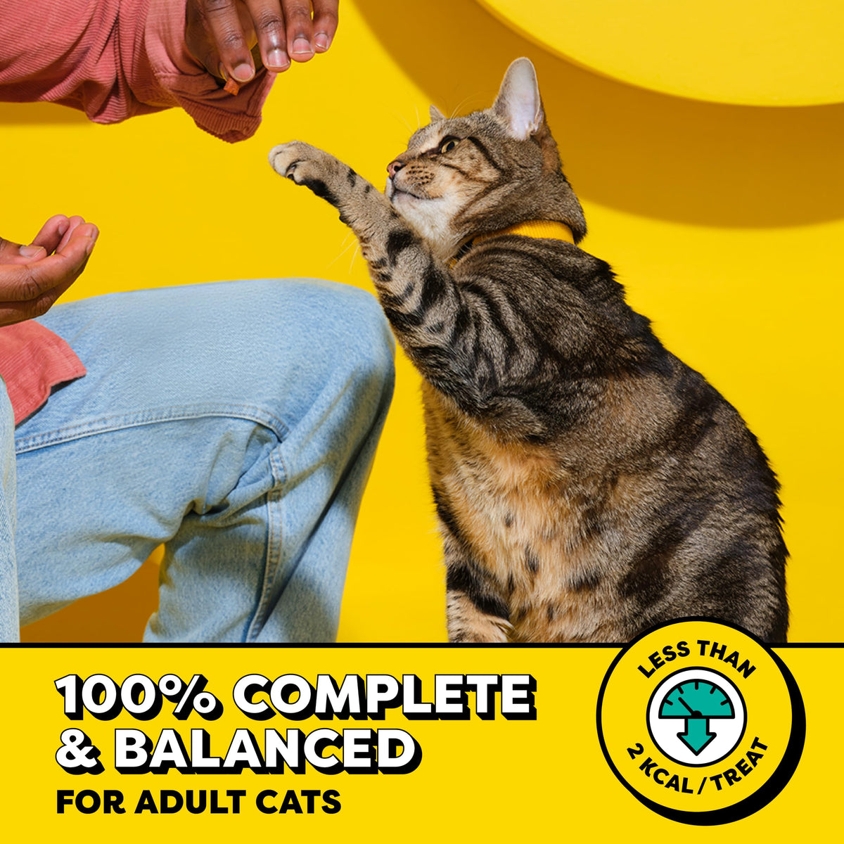 Temptations Classic Crunchy and Soft Cat Treats, Seafood Medley, 30 oz | Under 2 calories per treat, 100% complete & balanced adult cat nutrition, resealable tub, use as snack, meal, or food topper