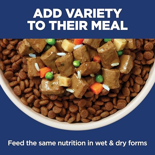 Hill's Science Diet Sensitive Stomach & Skin Dry Dog Food | #1 Veterinarian Recommended, Adult Formula, Chicken Recipe, 30 lb. Bag