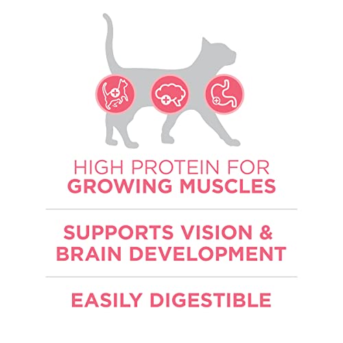 Purina ONE High Protein Natural Kitten Dry Cat Food, 7 lb Bag | Made with real chicken to support growing muscles, DHA for kitten brain development and antioxidants for immunity