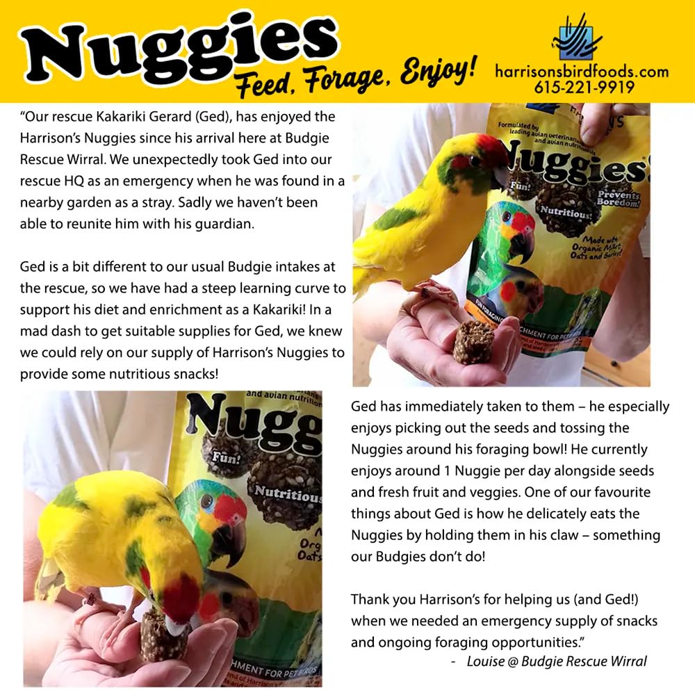 Harrison's Bird Foods Nuggies - Tasty Organic Baked Seed Clusters, 196g