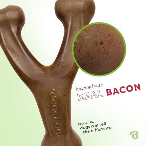 Benebone Wishbone Dog Chew Toy for Aggressive Chewers, Real Bacon, Medium | Durable, Super Chewer, Made in USA, Dog Bones, Long-Lasting, A Size for Every Dog, Keeps Them Busy