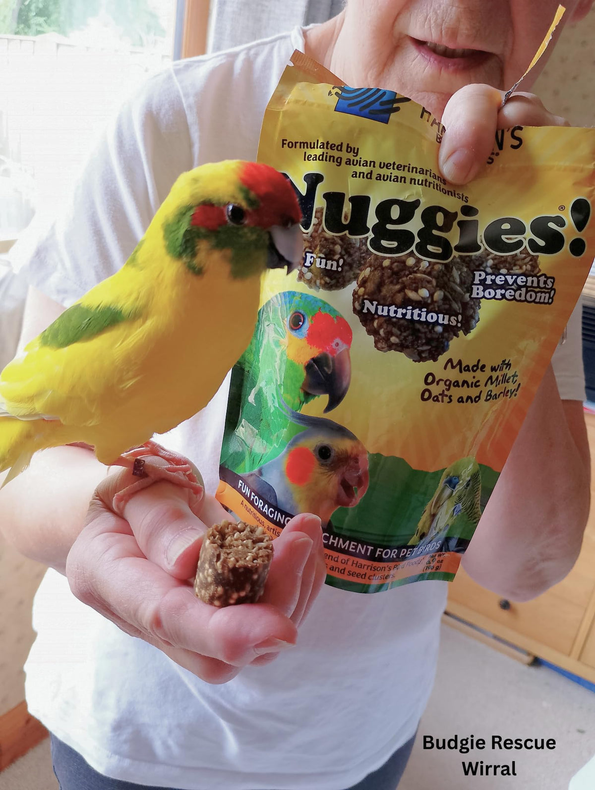 Harrison's Bird Foods Nuggies - Tasty Organic Baked Seed Clusters, 196g
