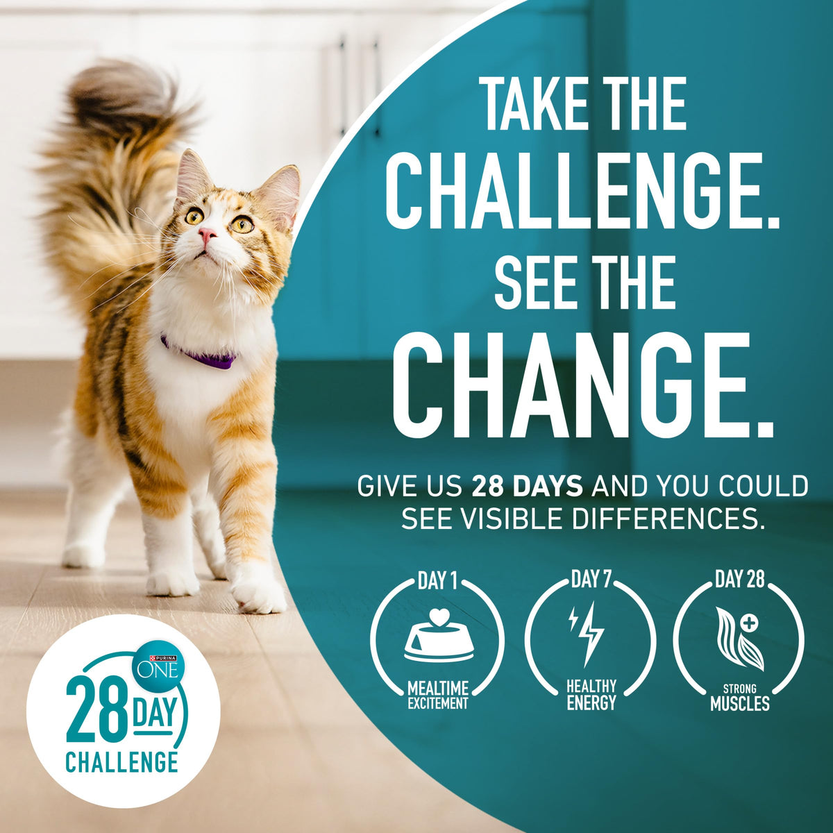Purina ONE Indoor Advantage Weight Control Dry Cat Food, 16 lb Bag | Made with real turkey and 10% less fat, plus antioxidants and fiber to help minimize hairballs and aid in weight control
