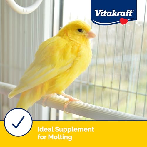 Vitakraft Egg Food for Birds 1.1 lb. | Nutrient-Rich Egg Protein, Fortified Seed & Grain Blend, Breeding & Molting Support, Premium Bird Food, 1.1 lb Pack