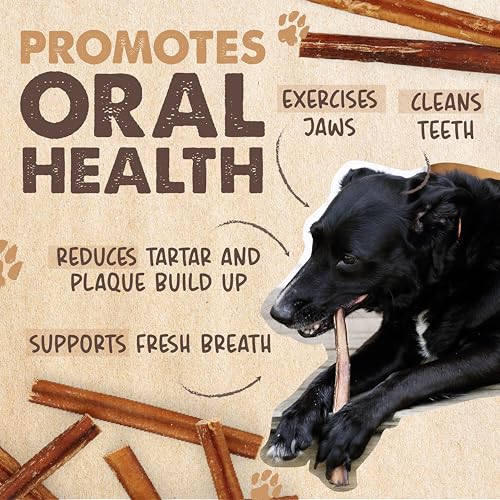 Mighty Paw 12" Bully Sticks for Dogs - Large, Medium and Small Dog Chew | Single Ingredient, Grass-Fed, Low Odor, 5 pk, High Protein, Boredom Buster