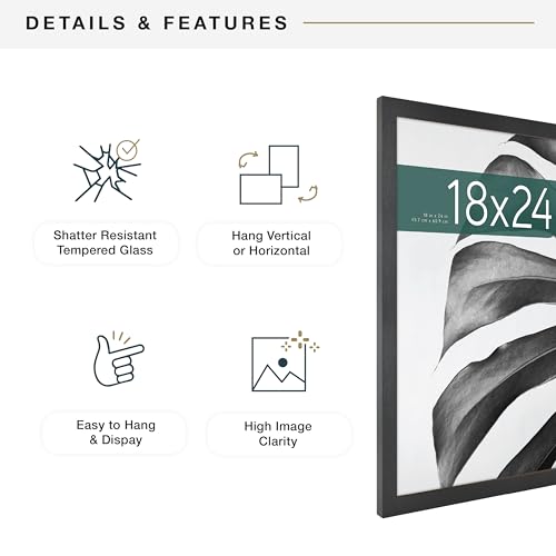 MCS Studio Gallery Poster Frame, 18x24, Black Woodgrain, 1-Pack | Studio Gallery Poster Frame For Photos & Art Prints, 18x24 Inch, Black Woodgrain Engineered Wood, 1-Pack