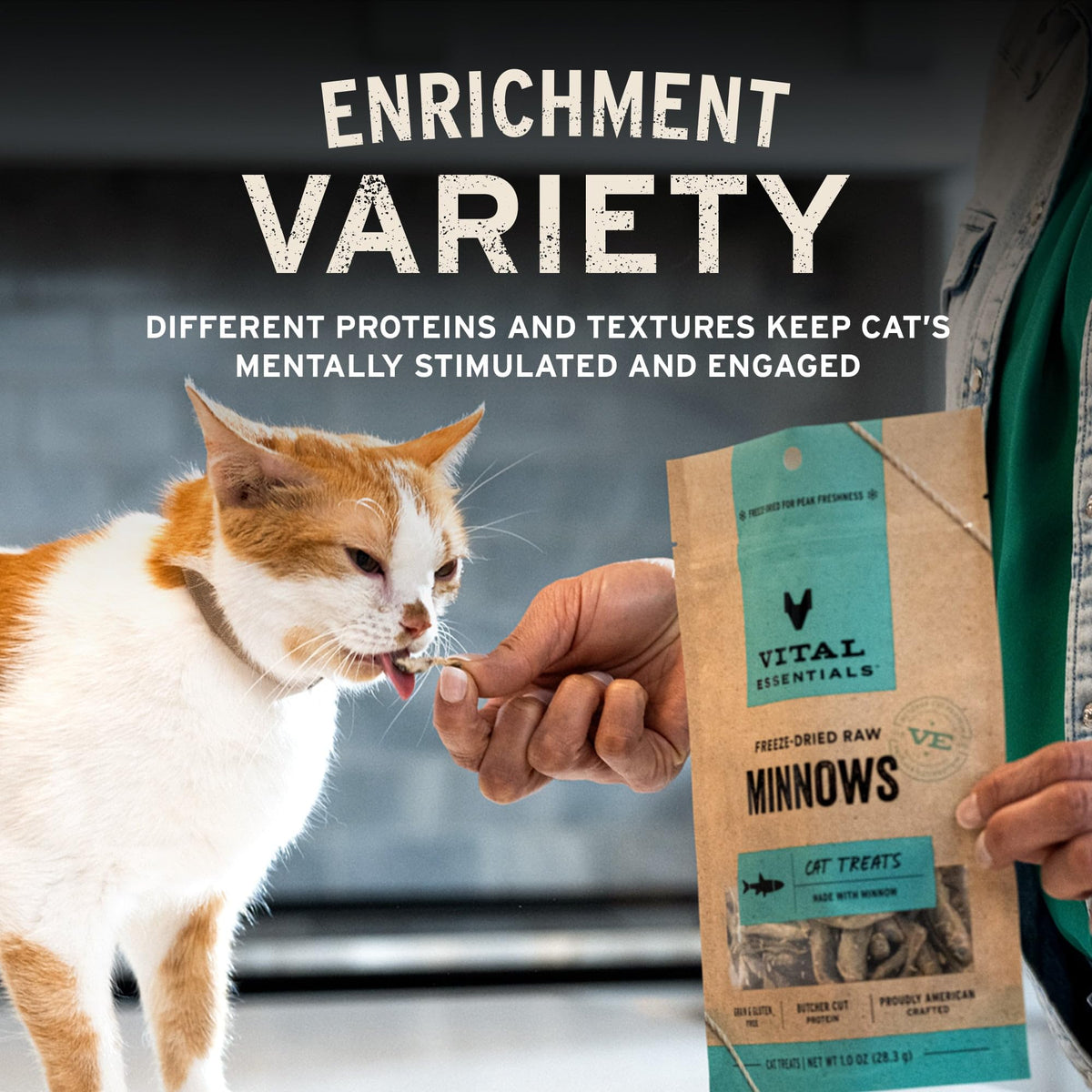 Vital Essentials Freeze Dried Minnows Cat Treats, 1.0 oz Bag | Single Ingredient, Premium Quality Protein, Grain Free, Healthy Treats, USA Made with U.S. & Globally Sourced Ingredients