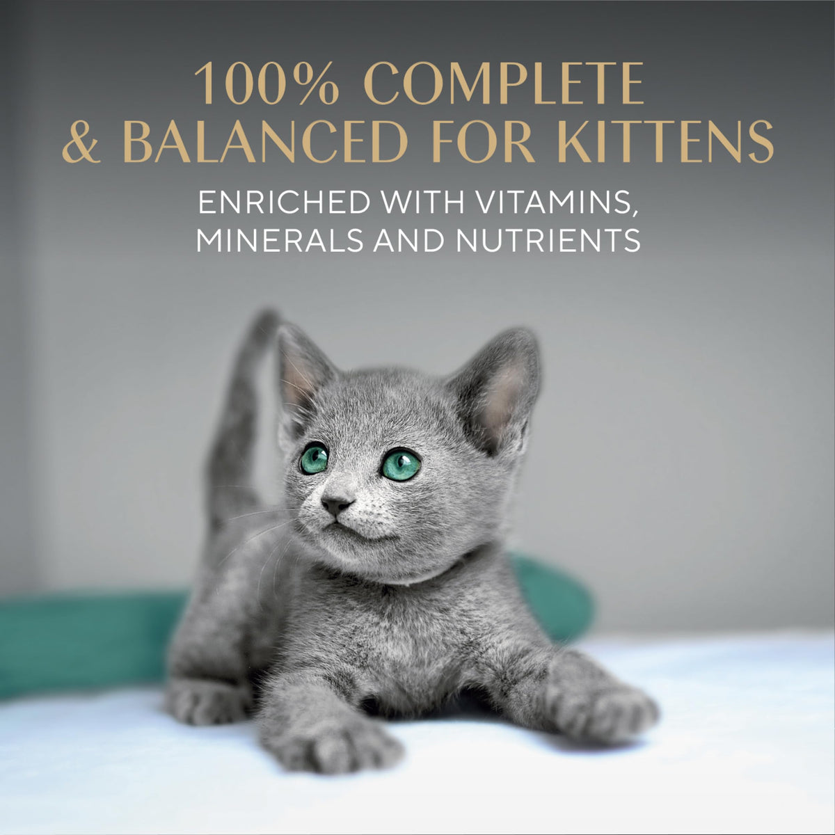 Sheba Perfect Portions Kitten Pate Wet Cat Food, Multipack, 2.6 oz, 24 ct | Chicken, Turkey, & Salmon, DHA for brain development, Vitamin E for immunity, real meat, essential amino acids, 48 servings