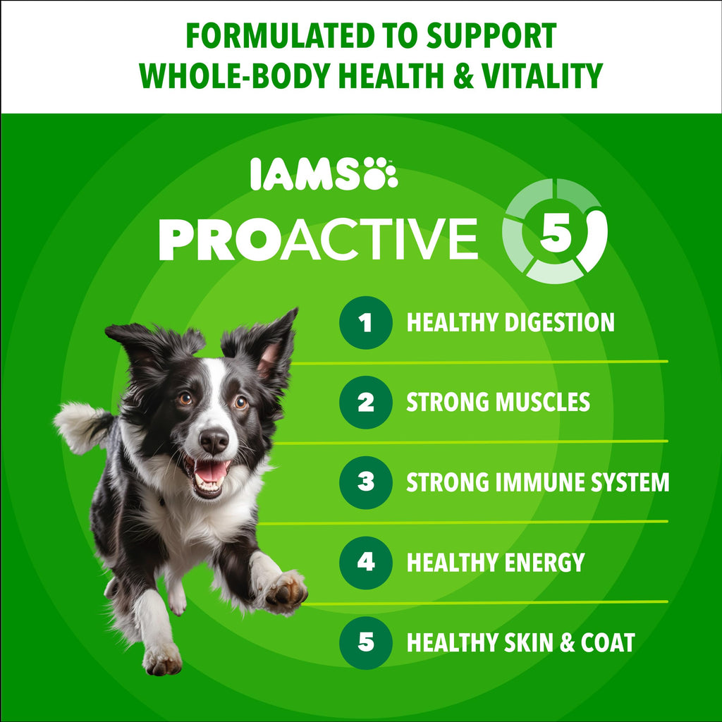 IAMS Proactive Health Adult Minichunks Dry Dog Food, Chicken, 30 lb | Real chicken #1 ingredient, no fillers, natural fiber & prebiotics, Omega-6 fatty acids, antioxidants for immune support