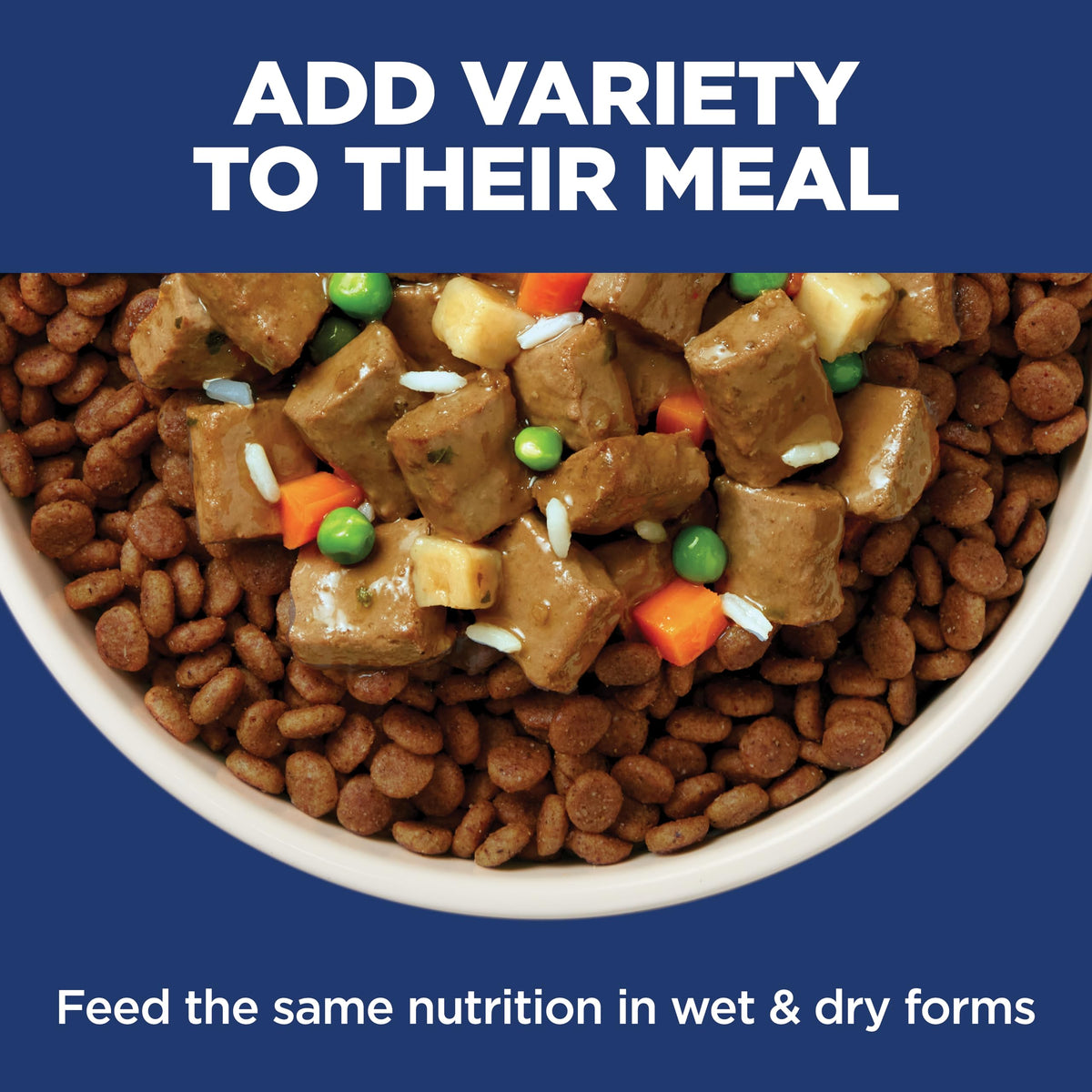 Hill's Science Diet Sensitive Stomach & Skin Dry Dog Food | #1 Veterinarian Recommended, Adult Formula, Chicken Recipe, 30 lb. Bag