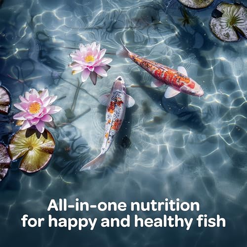 Kaytee Koi's Choice Floating Fish Food for Koi, Goldfish & Pond Fish | Supports growth. Fish food pellets for all seasons. 35% protein, fish meal first, highly digestible koi food