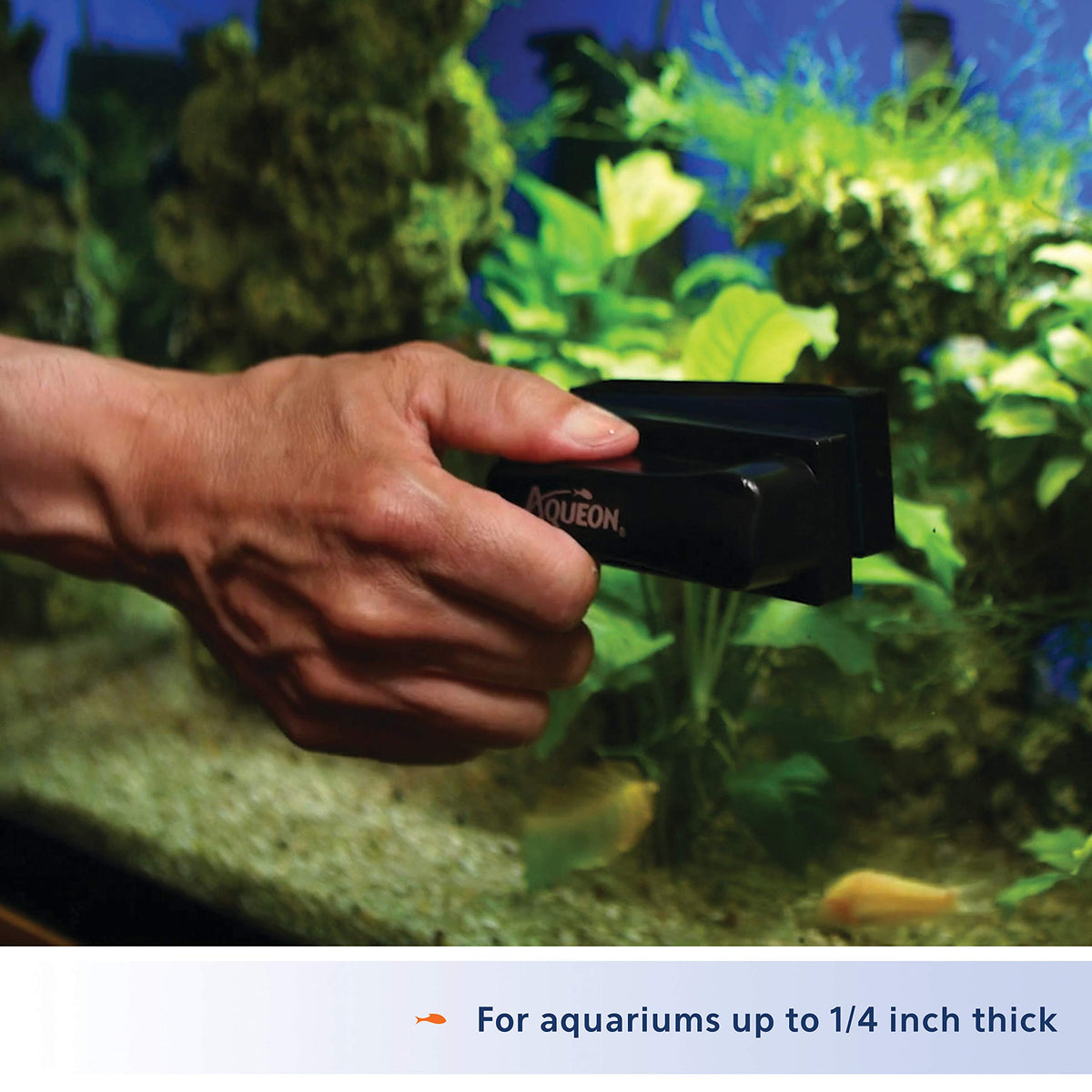 Aqueon Aquarium Algae Scraper, Fish Tank Magnetic Glass Cleaner for Glass/Acrylic, Small