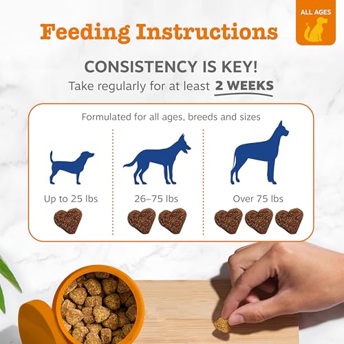Zesty Paws Dog Vitamins - Dog Multivitamin Chews, Chicken, 90 Ct | Dog Vitamins and Supplements for Hip & Joints, Skin & Coat, Omega 3 Fish Oil for Dogs