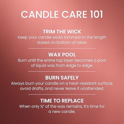 Yankee Candle Sugared Cinnamon Apple Scented Candle, 14.5oz 3-Wick | Up to 40 Hour Burn Time, Room Filling Fragrance, Long-Lasting Scent, Premium Plant Wax Blend, Consistent Burn, Giftable