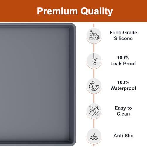 19" x 12" Extra Thick Silicone Mat Waterproof with Raised Edge, Gray | BPA-Free Non-Slip Multi-Purpose Mat for Dog & Cat Feeding, Under Sink Storage & Protection