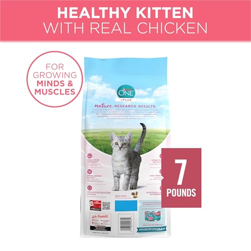 Purina ONE High Protein Natural Kitten Dry Cat Food, 7 lb Bag | Made with real chicken to support growing muscles, DHA for kitten brain development and antioxidants for immunity