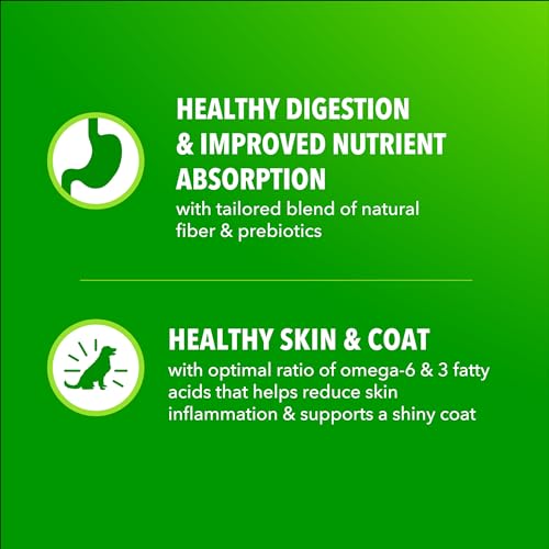 IAMS Proactive Health Adult Minichunks Dry Dog Food, Chicken, 30 lb | Real chicken #1 ingredient, no fillers, natural fiber & prebiotics, Omega-6 fatty acids, antioxidants for immune support