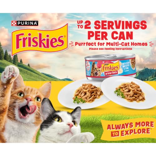 Purina Friskies Extra Gravy Wet Cat Food Chunky Variety, (24) 5.5 oz. Cans | Variety Pack With Chicken, Turkey, Salmon, & Beef cat food in savory gravy, for tender, tasty meals
